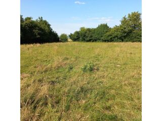  Terrain � vendre 1211 m�