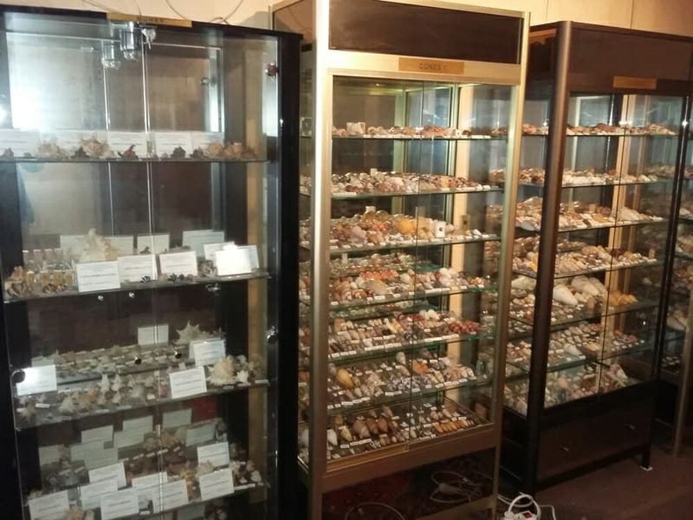 Vitrines de pr&eacute;sentation &eacute;clair&eacute;es de hautes qualit&eacute;! Meubles