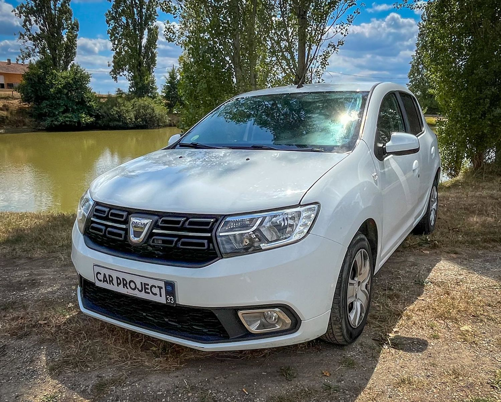 Sandero Blue dCi 75 Essentiel 2020 occasion 33490 Saint-Martial