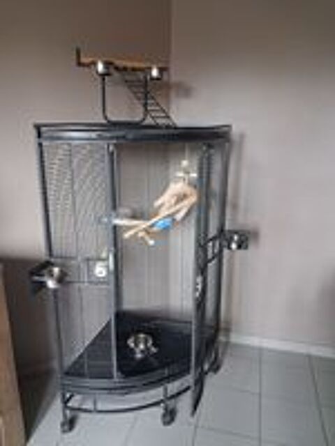   Cage  