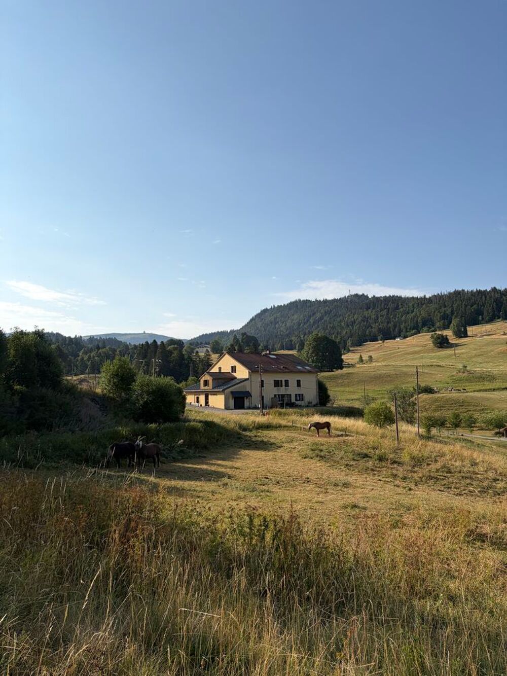 Vente Appartement Appartement dans un écrin de verdure Les rousses