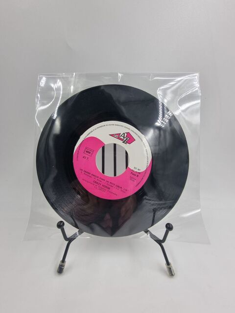 Vinyle 45 tours Crazy Horse : Un Grand Amour Dans un Petit C 1 Vulbens (74)