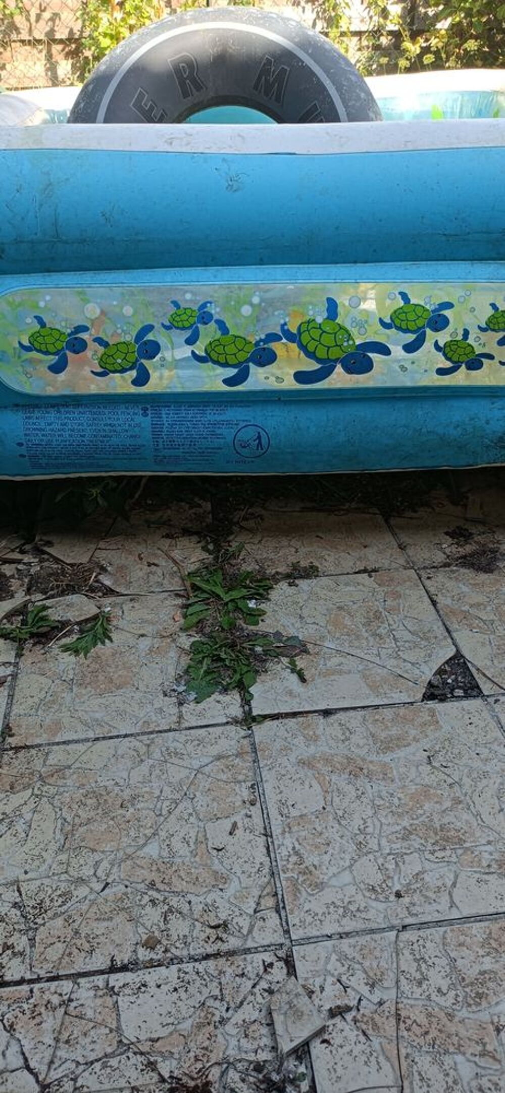 Piscine gonflable pour enfant Jardin