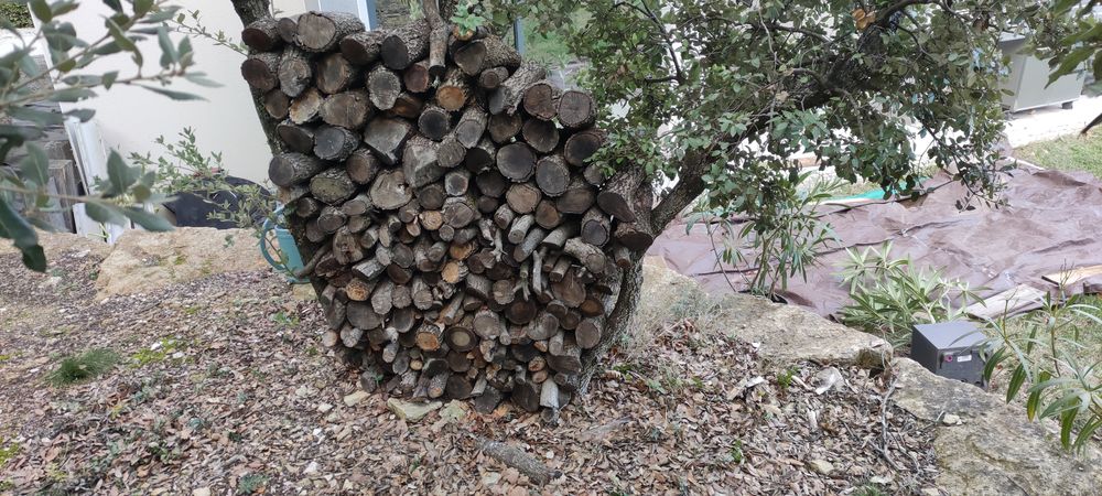 bois de coupe Jardin