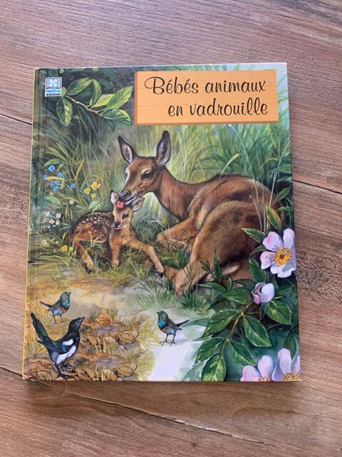 livre enfant    B�b�s animaux en vadrouille    3 Saleilles (66)