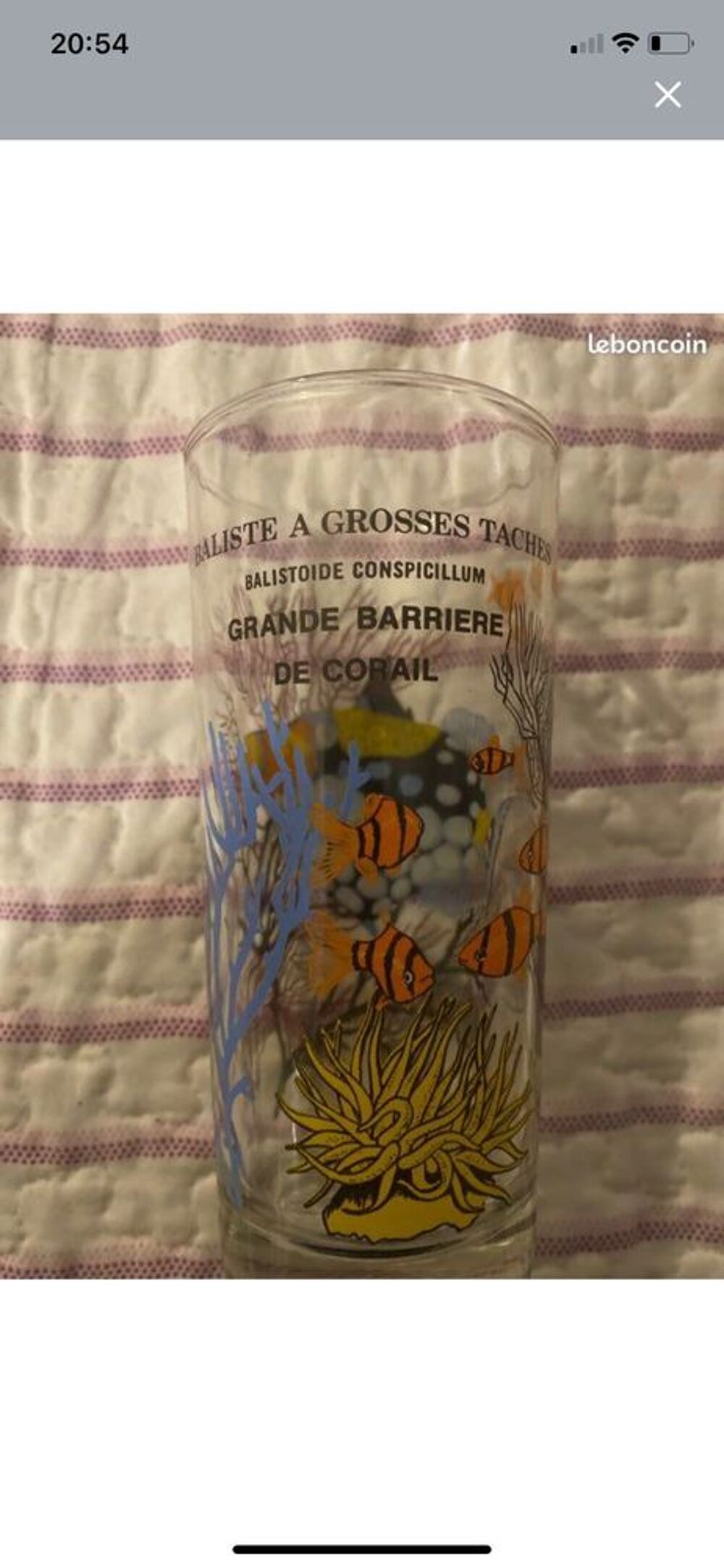 collection de verre (papillon, poissons) 