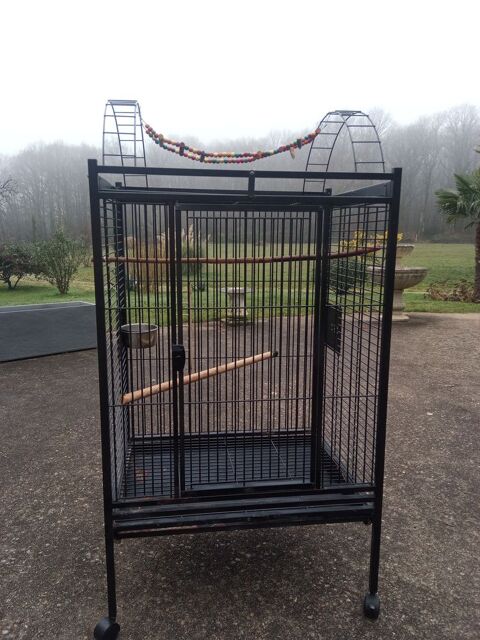 Cage Perroquet sur roulettes 180 Saunay (37)