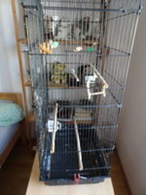   Cage à oiseaux 