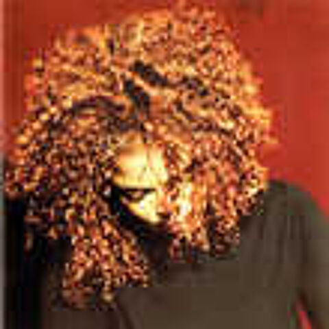 cd Janet?? The Velvet Rope (etat neuf) CD et vinyles