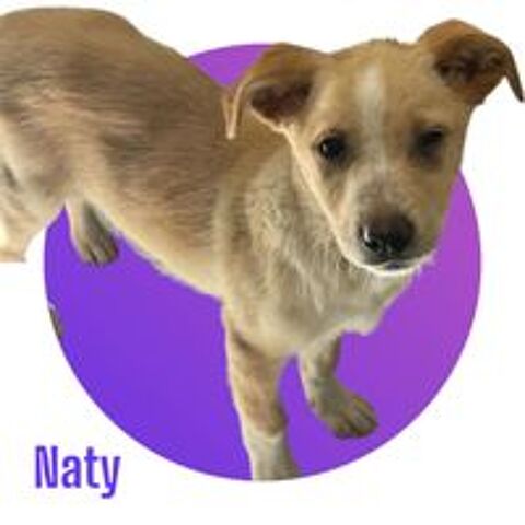   NATY : ils ont massacré toute ma famille ! 😭 