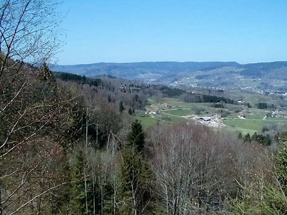   CHALET Mignon, en plein PARC NATUREL des VOSGES. 
.Alti600 m Vacances  / Offres de location 