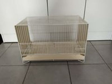   Cage oiseaux  