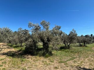  Terrain à vendre 2880 m² Maussane-les-alpilles