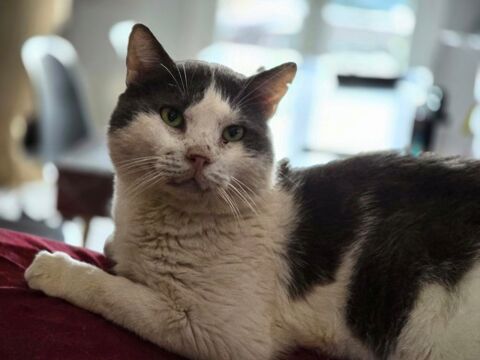 LAKA 210 27140 Gisors