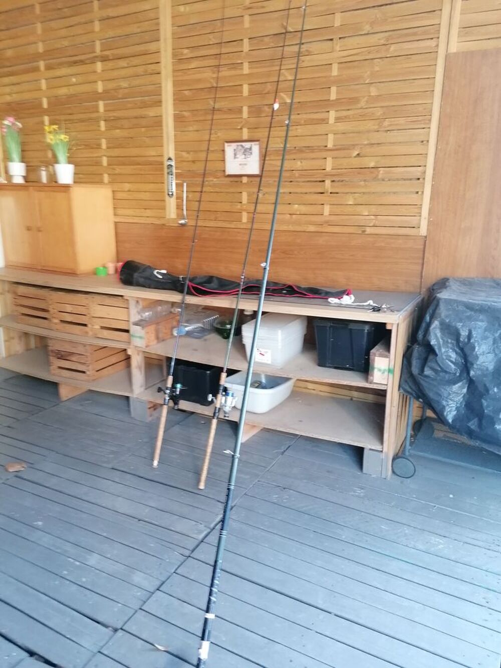 Canne &agrave; p&ecirc;che carpes MITCHEL D&Eacute;CATHLON plus canne &agrave; truites Sports