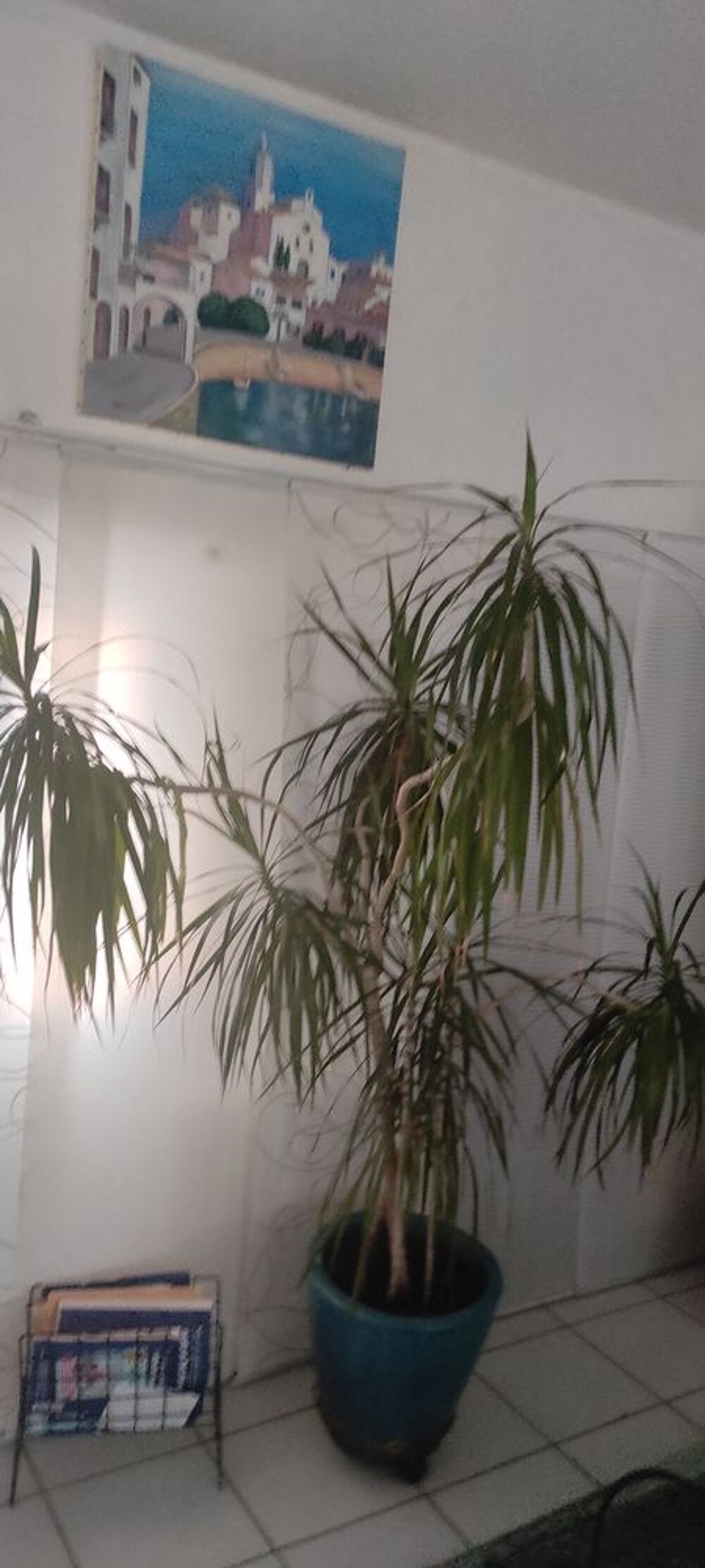 plantes int&eacute;rieures et ext&eacute;rieures + aquarium Jardin
