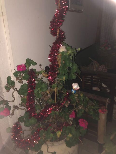 Bois 0 Passavant-la-Roch�re (70)