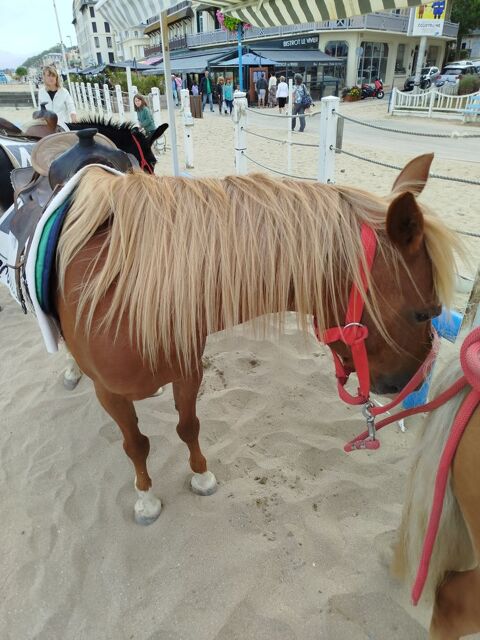 Recherche pour menage et aide a la personne 0 91700 Sainte-genevive-des-bois