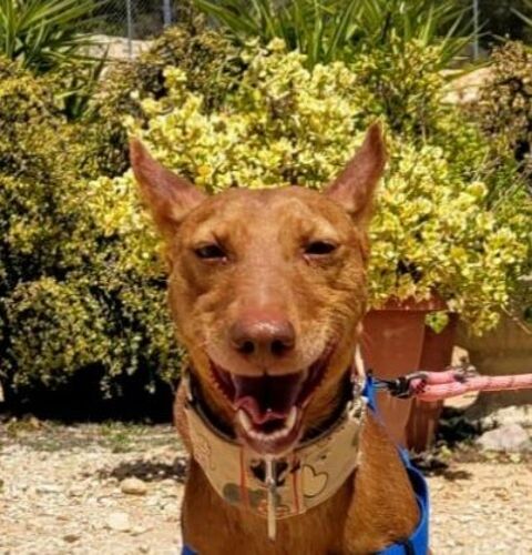 CARMEN 300 27620 Gasny