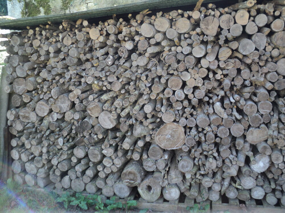 bois de chauffage . Jardin