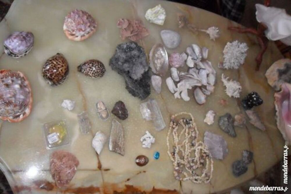lot de coquillages et mineraux 