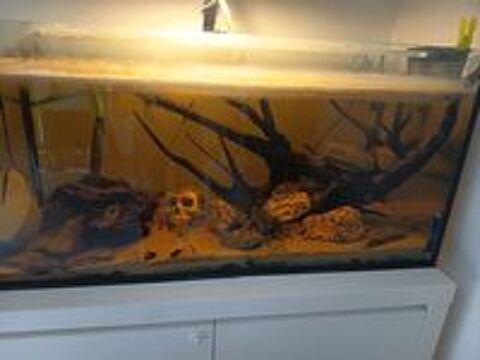   Aquarium 220L complet avec population 80 euros  