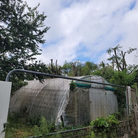 Serre tunnel 1700 62199 Gosnay