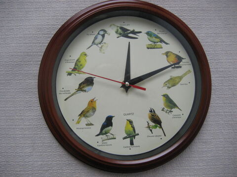Horloge sonore oiseaux chanteurs 9 Reims (51)