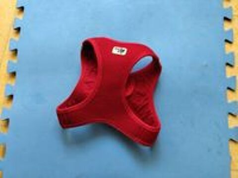   Harnais rouge Curli  