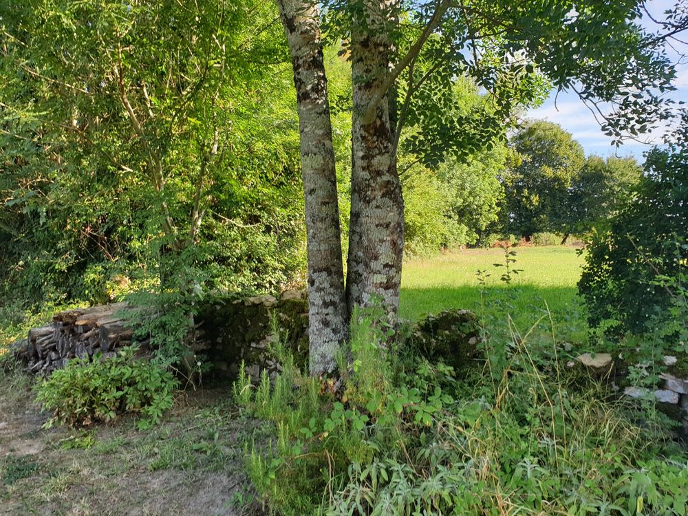 Vente Maison Ancien relais de poste sur environ 3 900 m² de terrain avec vue. Cuisery
