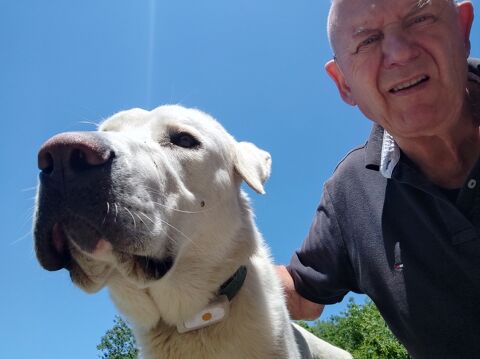 DISPONIBLE A GARDER VOS ANIMAUX 0 38150 Roussillon