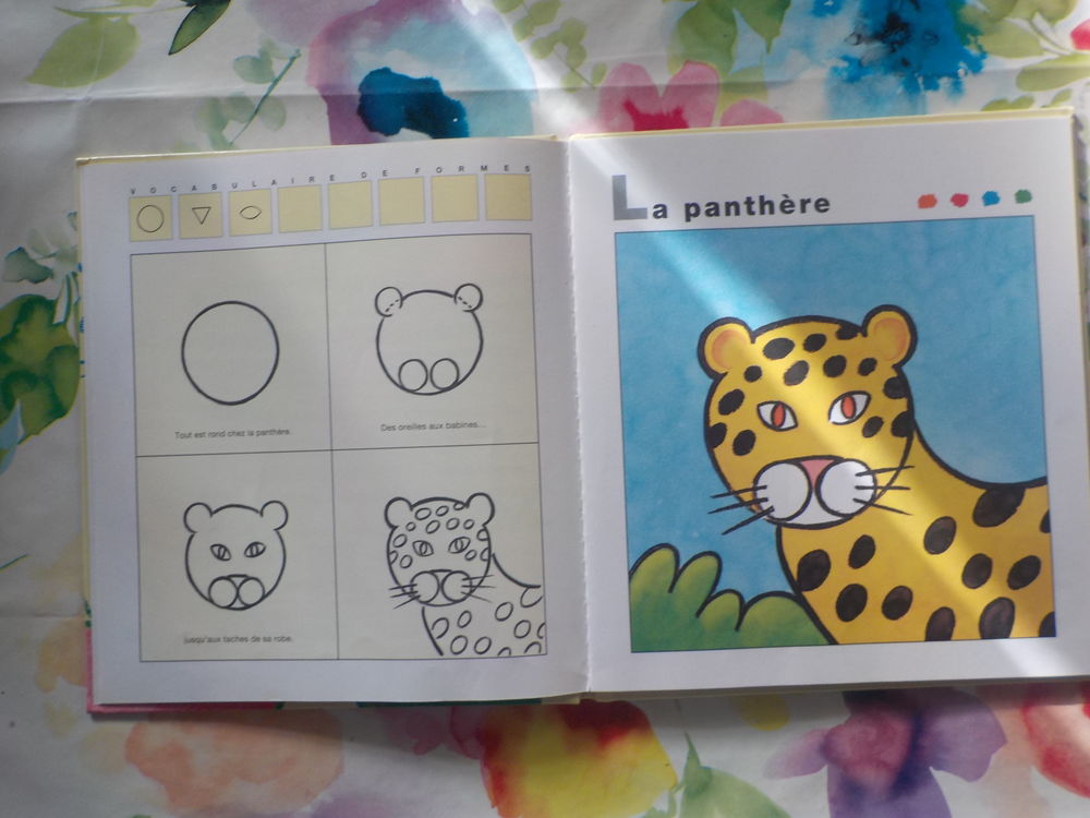 J'APPRENDS A DESSINER LES ANIMAUX D'AFRIQUE Livres et BD