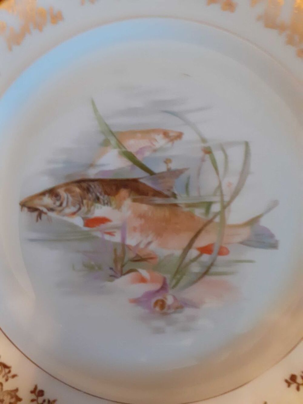 service &agrave; poisson Décoration