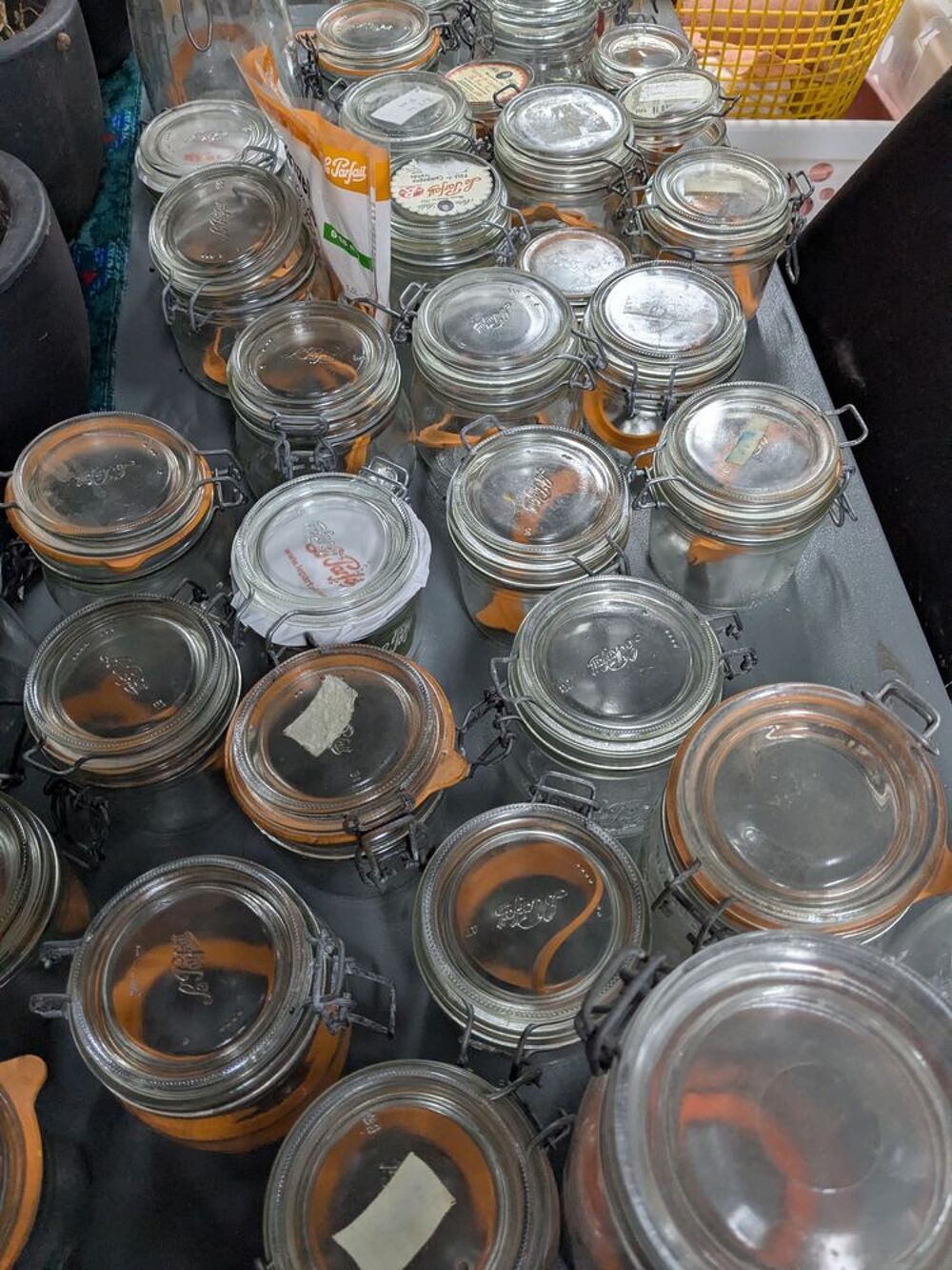 Bocaux en verre fermeture m&eacute;tallique Electroménager