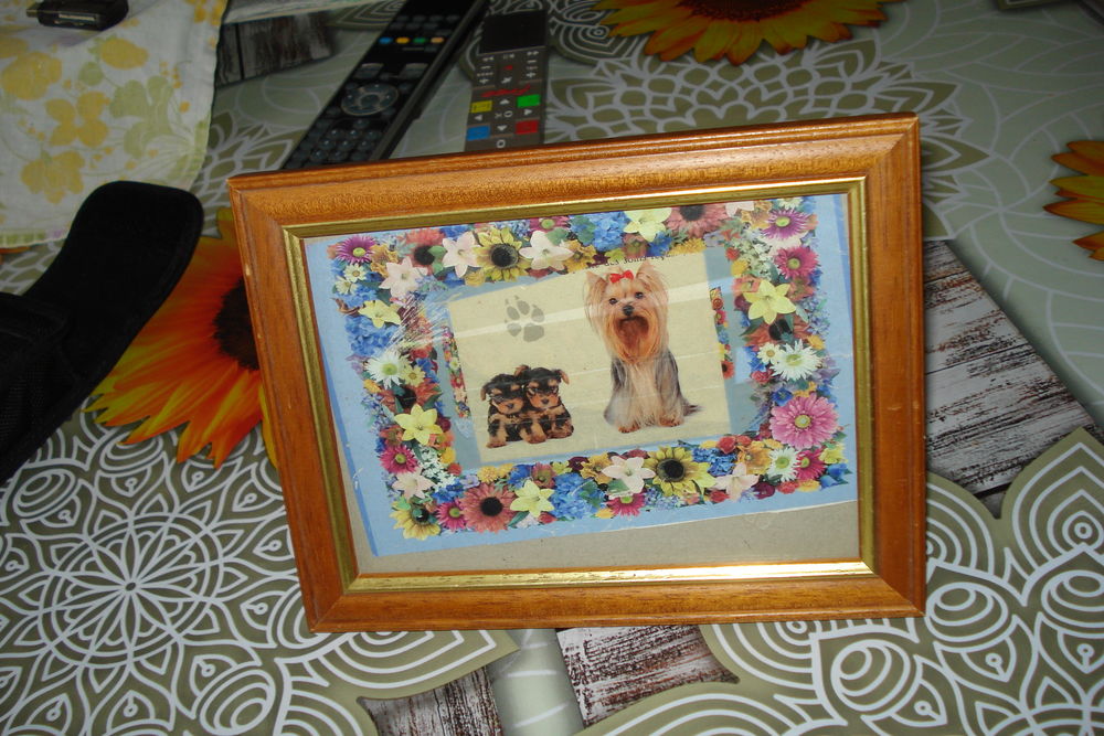 cadre photos Dcoration