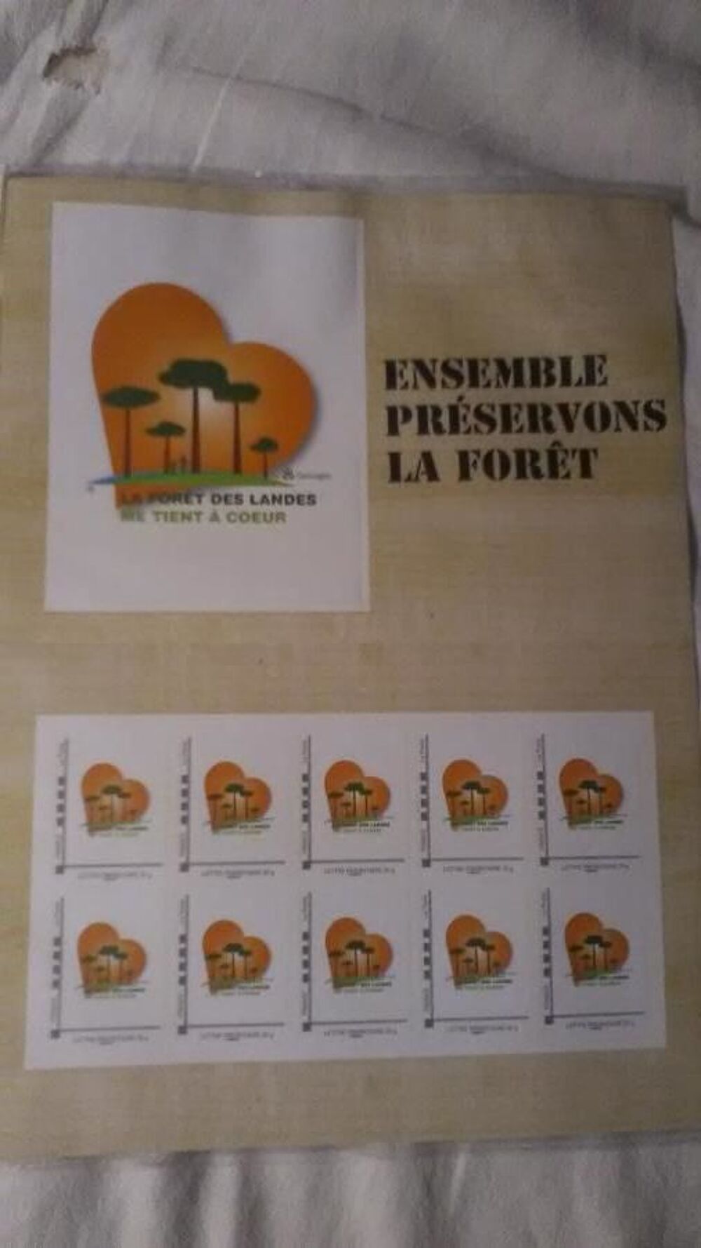 COLLECTOR "" FORET DES LANDES "" ANNEE 2010 