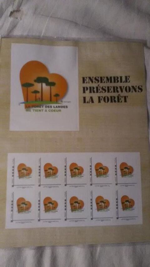 COLLECTOR       FORET DES LANDES     ANNEE 2010 30 Dolus-d'Oléron (17)