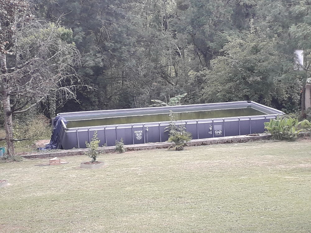Piscine INTEX Jardin