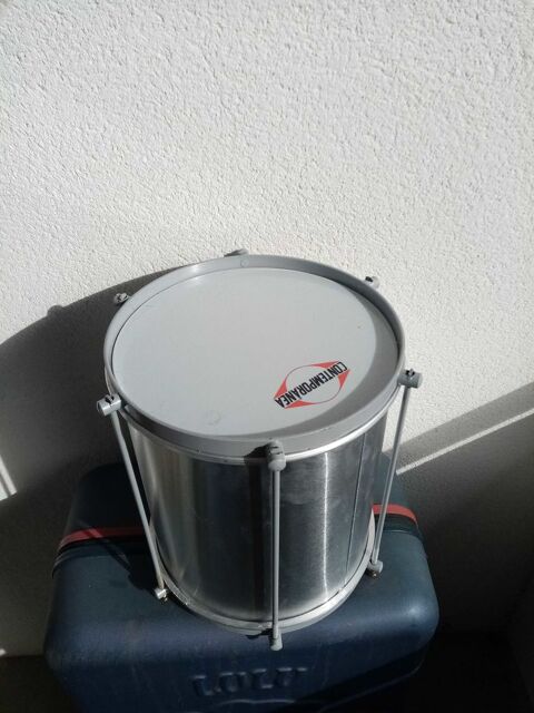 ripinique avec harnais Biarritz (64)