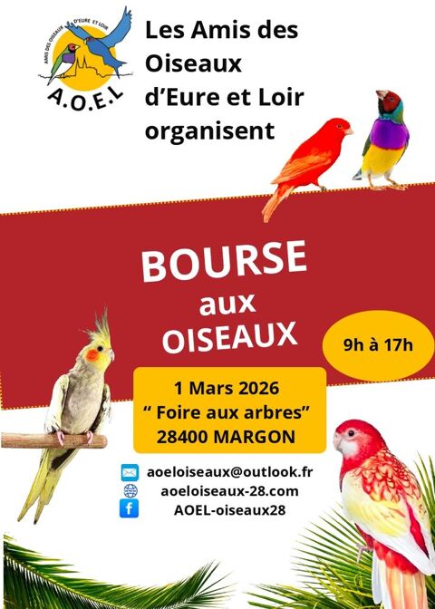 BOURSES AUX OISEAUX 0 78125 Saint-hilarion