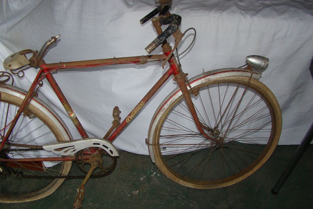 Ancien V&eacute;lo - Dilecta Le Blanc 
Vélos