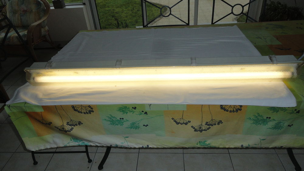 Luminaire ( n&eacute;on ) Décoration