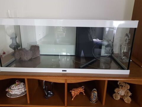 Aquarium 250 Chaumousey (88)