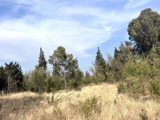  Terrain  vendre 4795 m