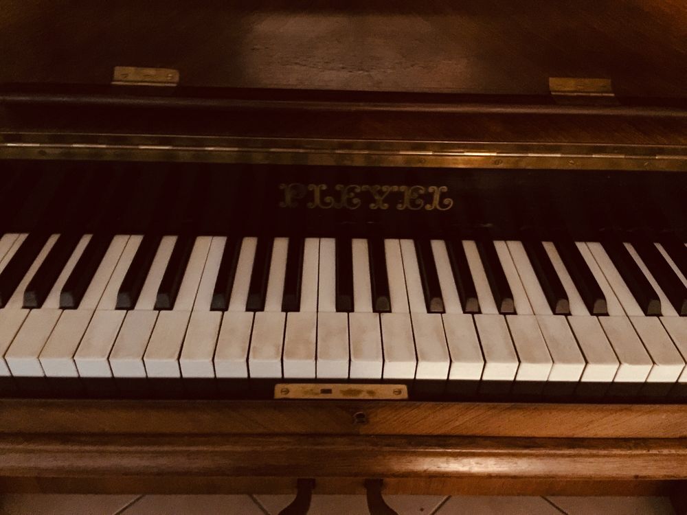D'un Piano Pleyel Instruments de musique