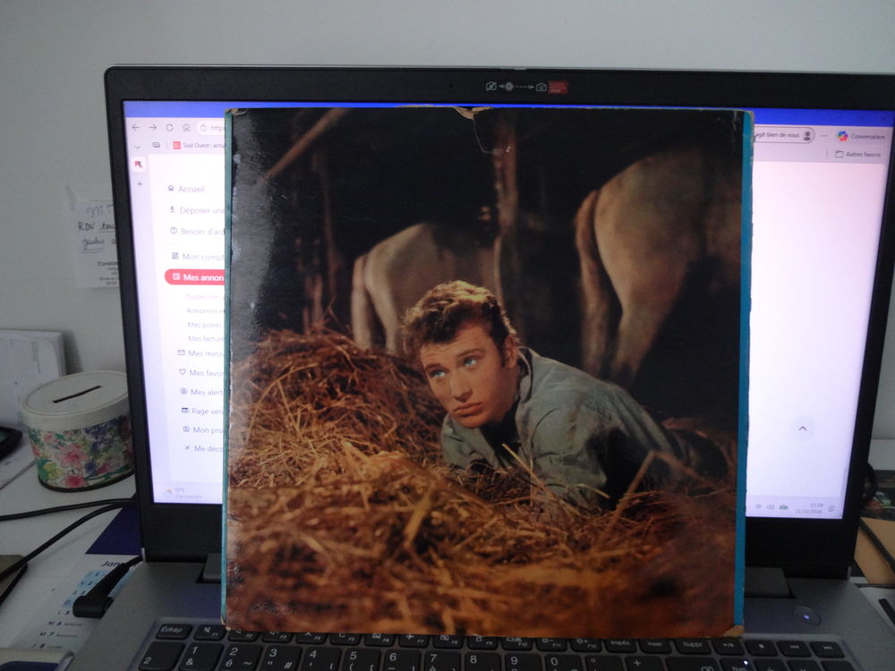 vinyle 33 tour JOHNNY HALLYDAY TEL / 0627473514 CD et vinyles