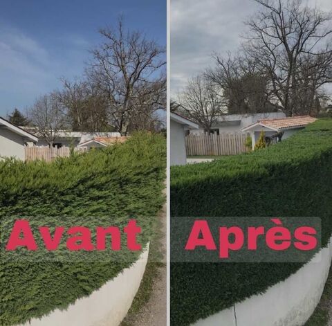 taille et travaux de jardin 0 69780 Mions