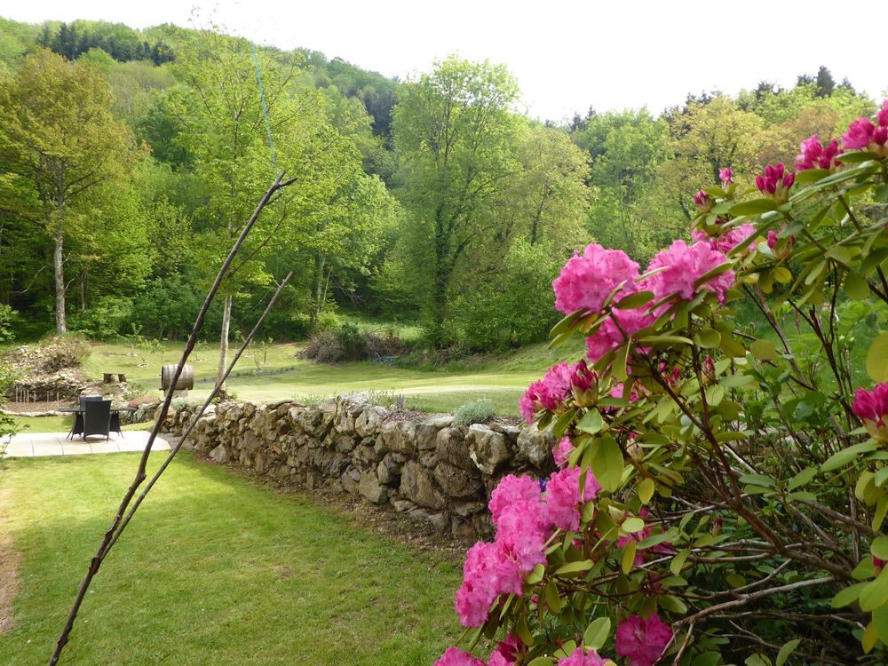   Villa dans les Pyrnes avec piscine prive jacuzzi Midi-Pyrnes, Montferrier (09300)