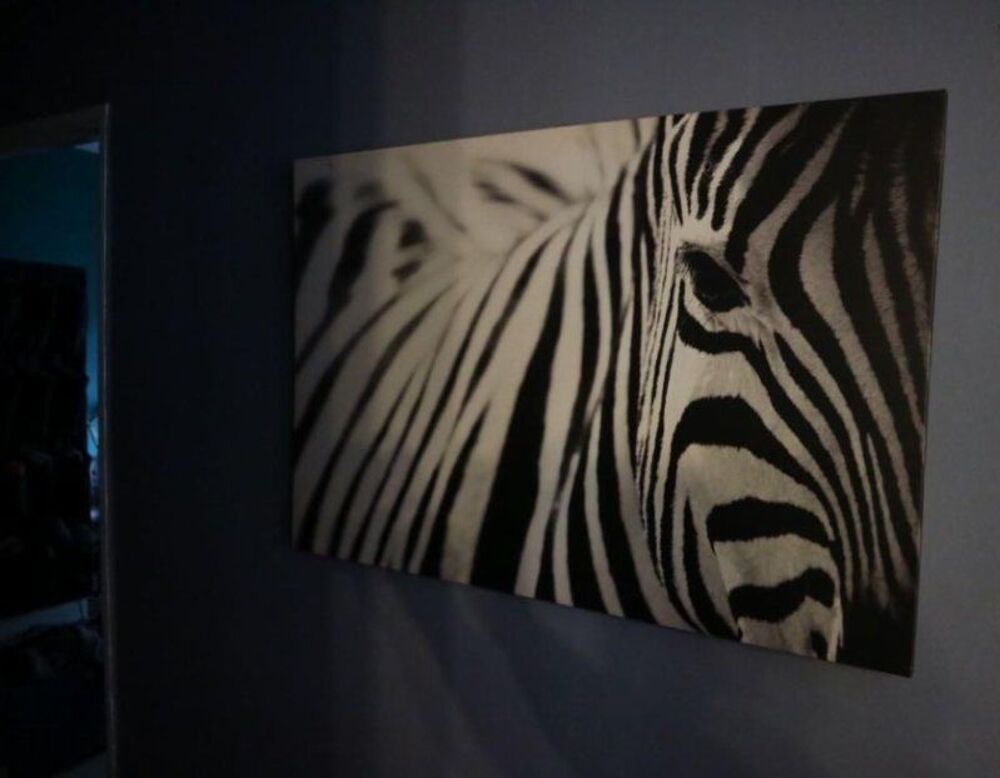Cadre Mural Pjatteryd Zebra Reproduction Art Mural XXL Dcoration
