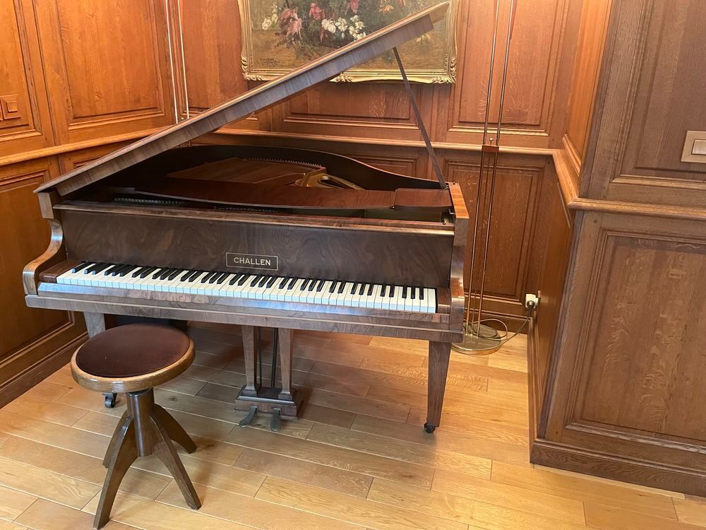 piano quart de queue Instruments de musique